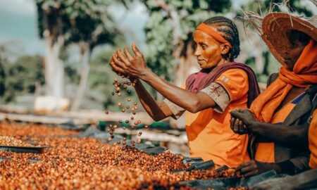 "Ethiopia's Java Journey: Brewing Success in Global Coffee Markets"