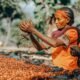 "Ethiopia's Java Journey: Brewing Success in Global Coffee Markets"